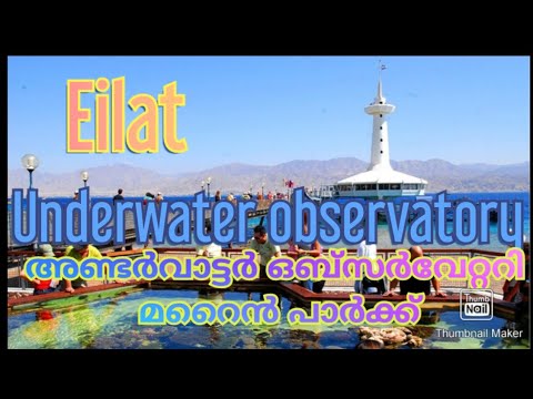 Eilat Underwater observatory marine park .അണ്ടർവാട്ടർ ഒബ്സർവേറ്ററി മറൈൻ പാർക്ക് എലാത്ത്