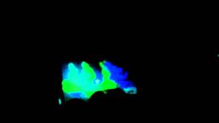 Laurent Garnier Presents Lbs Feat. Scan X And Benjamin Rippert Leoncavallo,Milano, 18112011