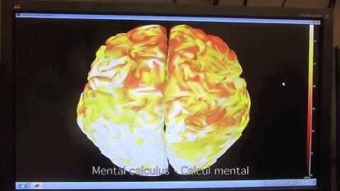 Real-time Brain Imaging with Visual Biofeedback