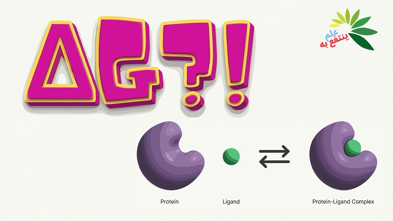 يعني ايه طاقة الارتباط أو ΔG؟