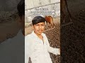 ખેડુત ની દિવાળી #jaydadamdev #khedut #gamdu #farminglife #diwali #dipawali #gujarativiral