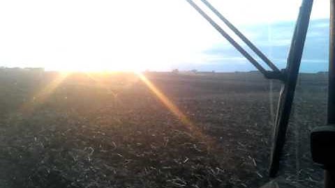 Rolling Soybeans 2011