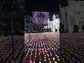 Ashikaga flower park so amazing about the lighting