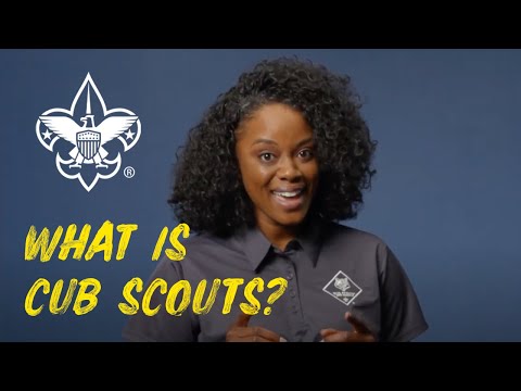 Video: Hur ansluter du till scout?