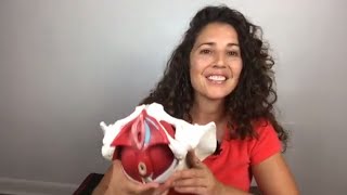 Anatomy of A Yoni: Explore Your Pelvic Floor with Michelle Alva, Pelvic PT Anatomy of A Yoni: Explore Your Pelvic Floor with Michelle Alva, Pelvic PT
