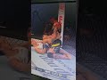 Highlights: Virna Jandiroba vs. Mackenzie Dern | UFC 321 Tom Aspinall vs Ciryl Gane 2