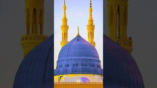 Why Blue?  #INFOatADIL, #Short, #RozaERasool, #Madina, #ProphetMuhammad, #Islam