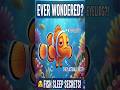 How Do Fish Sleep?