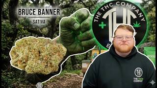 Bruce Banner Strain Review: Bruce Banner is a Beast! 👊