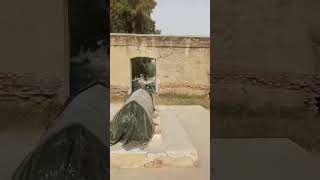 18 Nawab Sar Buland Khan Tomb - Mankera - Pakistan - Lonely Traveler