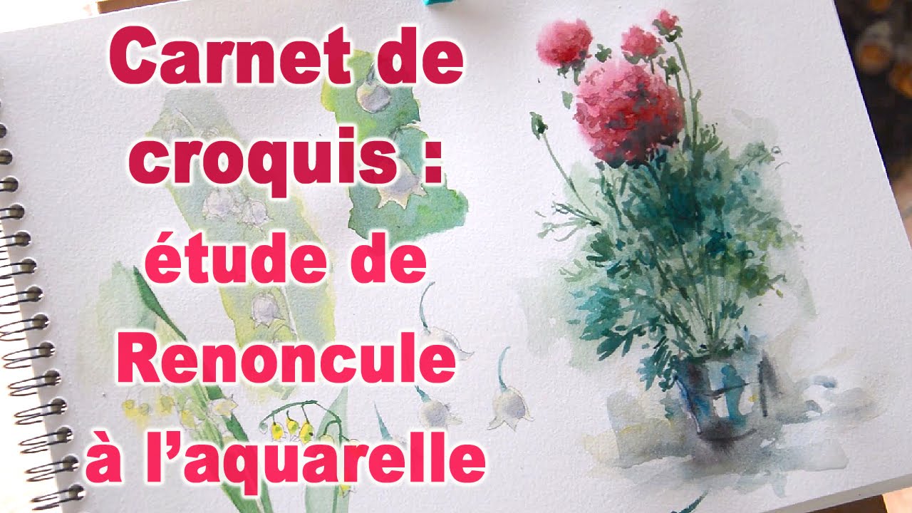 Carnet de croquis - étude de renoncule à l'aquarelle