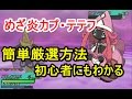 【ポケモン】カプ・テテフのめざ炎の簡単厳選方法まとめ【サン・ムーン】【Pokemon sun and moon】