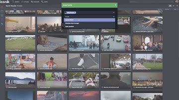 iconik - Bulk edit metadata and ACLs