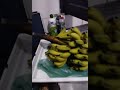 Banana do meu sítio