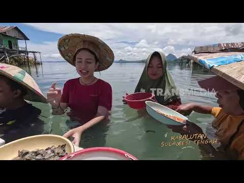 SEA YOU IN BAJO | JEJAK PETUALANG (26/09/26) Part 1