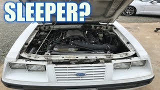 Is this four eye foxbody a sleeper? You be the judge!