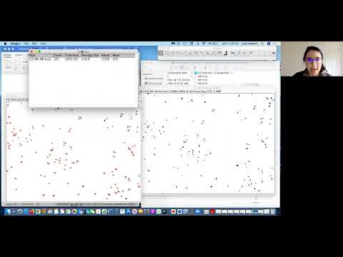 Cell Count Using