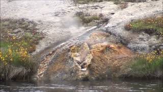 UNNG-FLD-18 (unnamed geyser north of West Flood Geyser)