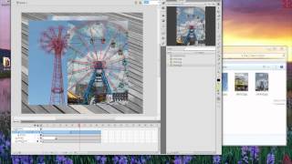 Introduction to Flash #1