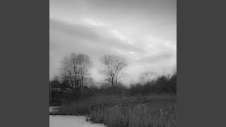 Lay Down and Rot