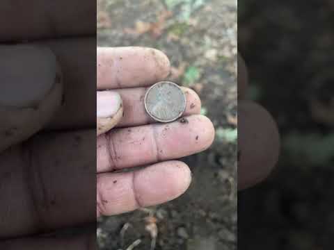 Metal Detecting in