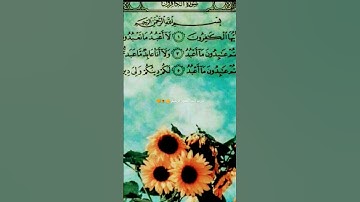 #عبدالرحمن_مسعد_تلاوة_جديدة #لايك #قران_كريم #راحة_نفسية #ارح_قلبك