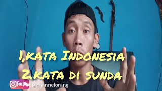 (1) kata bahasa Indonesia (2) kata bahasa sunda. kamus bahasa sunda screenshot 4