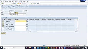 SAP S/4HANA Project Assign Original Budget