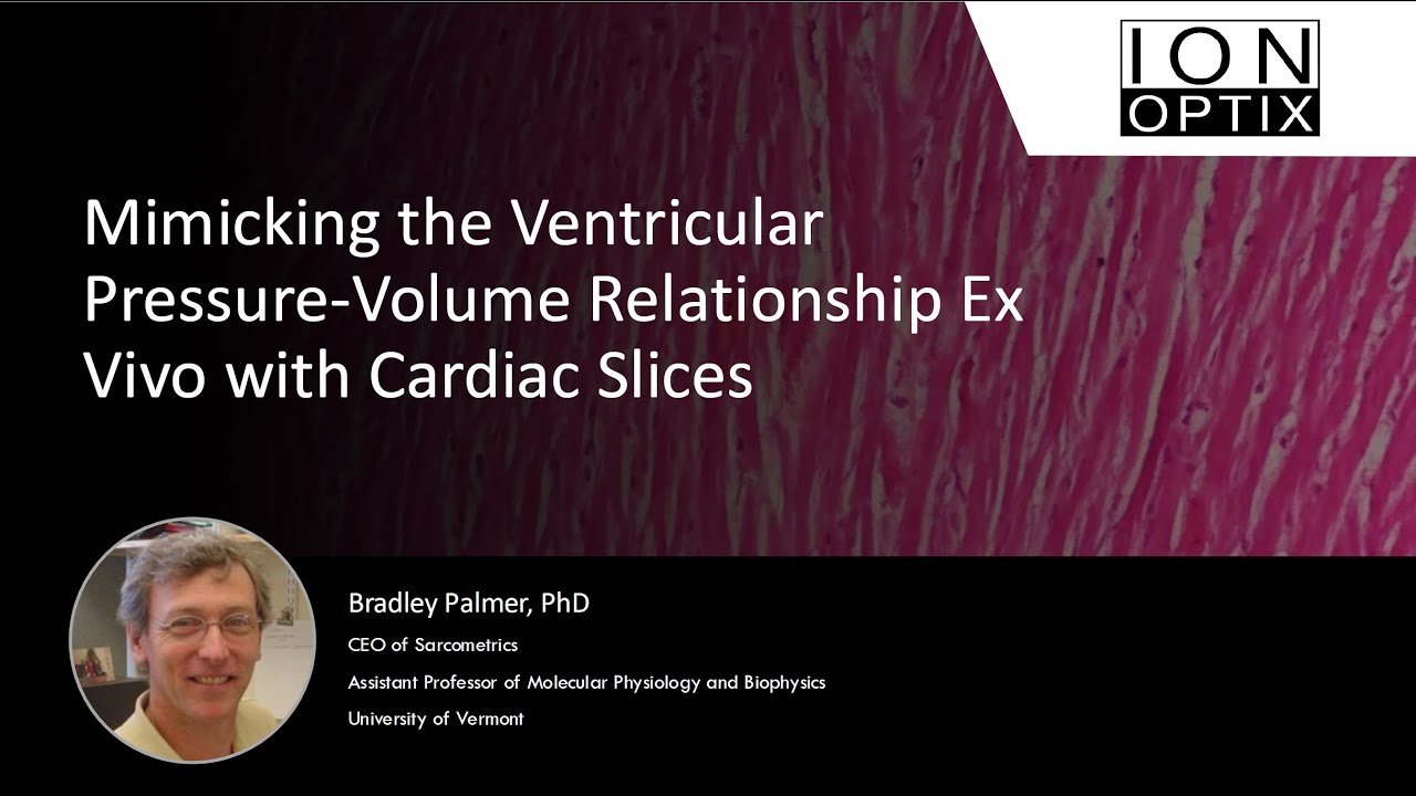 Mimicking the Ventricular Pressure-Volume Relationship Ex Vivo with Cardiac Slices