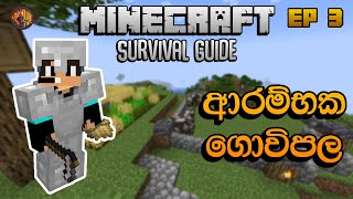 ආරම්භක ගොවිපල | Minecraft Survival Guide 1.18 Sinhala EP 3