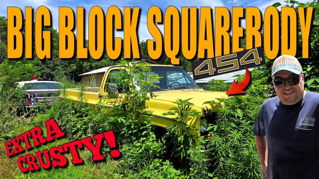 Will This BIG BLOCK Squarebody Run And Drive Again?