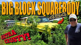 Will This BIG BLOCK Squarebody Run And Drive Again?