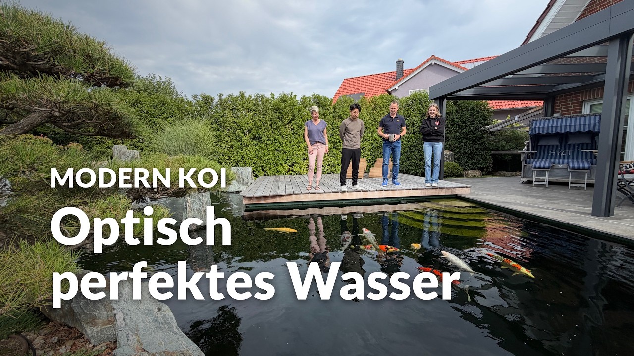 Mit Makoto bei Biankas und Thomas' Jürgen Kirchner Koiteich | Modern Koi Blog #8345