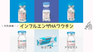 インフルエンザHAワクチンとは 仕組みと効果 接種時期をやさしく解説