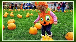 HALLOWEEN PUMPKIN festival.Фестиваль тыквы.Хэллоуин.ИРЛАНДИЯ