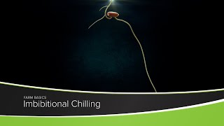 Imbibitional Chilling