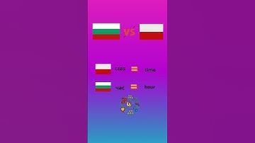 False friends in Bulgarian and Polish  #slavicbrotherhood