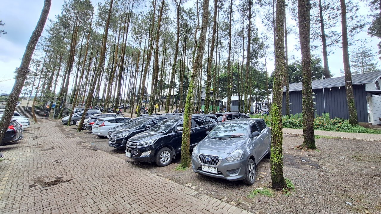 Jalur Tanjakan Menuju Cafe AONE TRAWAS - Full Nanjak, Pakai Gigi 1 dan AC On Lebih Aman - Datsun Go