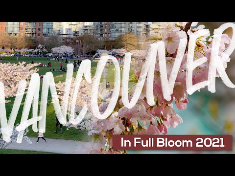Video: 14 Tegn På At Du Er Født Og Oppvokst I British Columbia