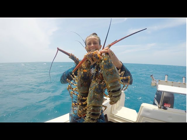 CRAYS for days Feeding families from the reef | Episode 53 Sailing Catalpa