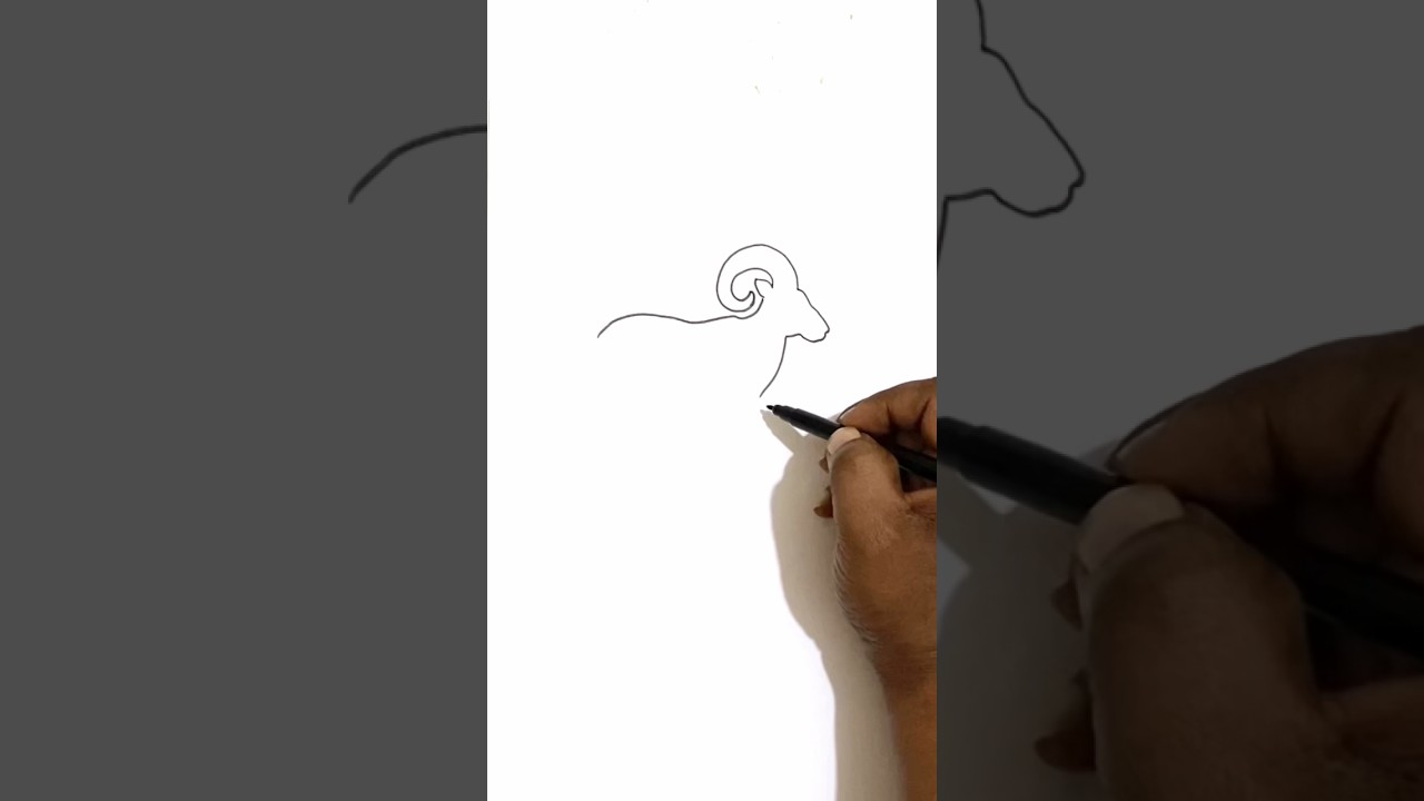 Bighorn sheep drawings #art #drawing #reels #shortvideo #trending #viral #shorts #short #viralvideo