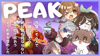 PEAK『誰も裏切らない山登り』