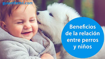 ¿Los perros son niños mentalmente?