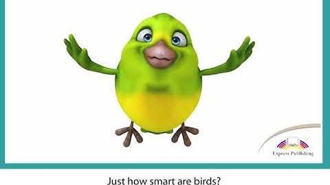 Aspect 11 Module 5 Avian Researcher