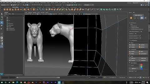 3D Lion & Football modeling full tutorial in Autodesk Maya | Maya | Poly lion | Football | 3D Maya