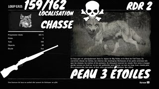 Tout Les Animaux: 159/162 Le Loup Gris (Localisation) Red Dead Redemption 2