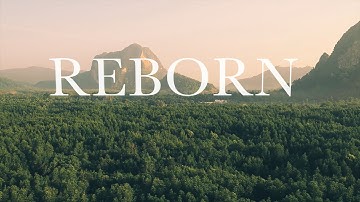 Thumbnail of Finding Favour - Reborn (Official Lyric Video)