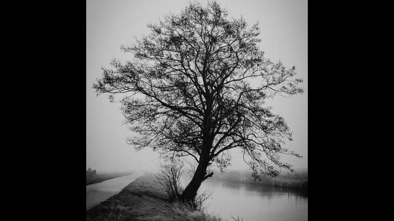 mirrormage - Im Sad And Unhappy