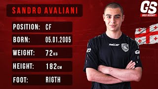 Sandro Avaliani ► Skills & Goals | 2022 ● HD