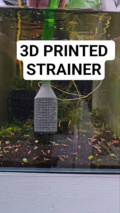 Rating 3D Printed Strainer #aquariumhobby #fishkeepinghobby #3dprinted